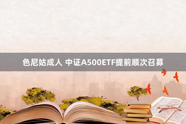 色尼姑成人 中证A500ETF提前顺次召募