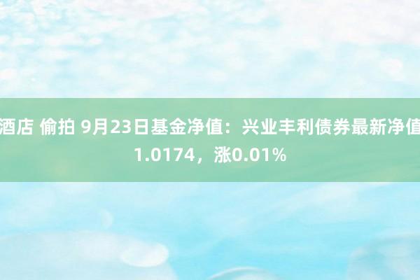 酒店 偷拍 9月23日基金净值：兴业丰利债券最新净值1.0174，涨0.01%