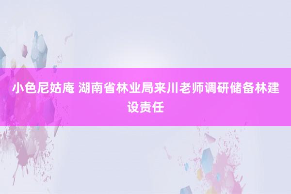 小色尼姑庵 湖南省林业局来川老师调研储备林建设责任