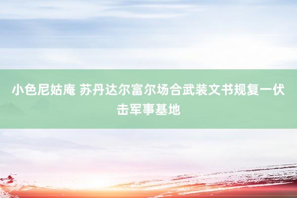 小色尼姑庵 苏丹达尔富尔场合武装文书规复一伏击军事基地