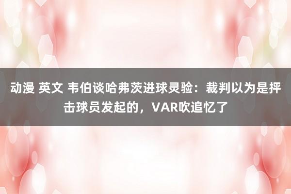 动漫 英文 韦伯谈哈弗茨进球灵验：裁判以为是抨击球员发起的，VAR吹追忆了