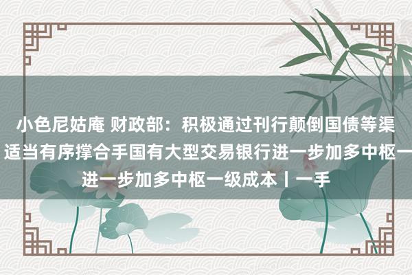 小色尼姑庵 财政部：积极通过刊行颠倒国债等渠说念筹集资金 适当有序撑合手国有大型交易银行进一步加多中枢一级成本丨一手