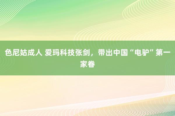 色尼姑成人 爱玛科技张剑，带出中国“电驴”第一家眷