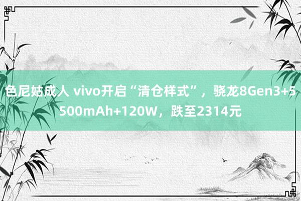 色尼姑成人 vivo开启“清仓样式”，骁龙8Gen3+5500mAh+120W，跌至2314元