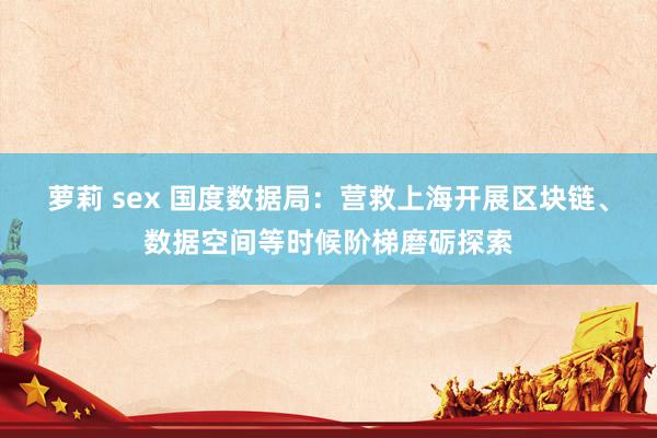 萝莉 sex 国度数据局：营救上海开展区块链、数据空间等时候阶梯磨砺探索