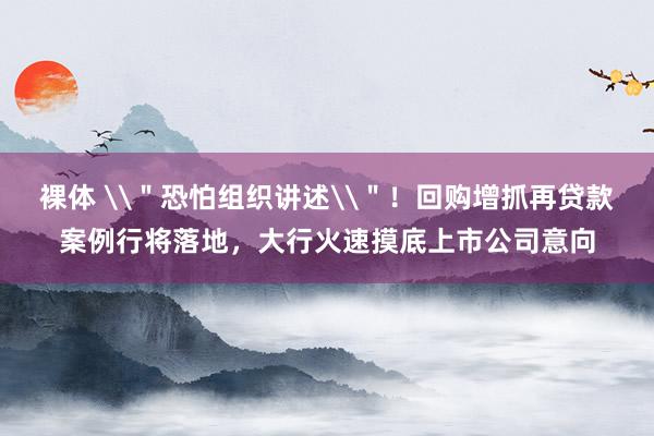 裸体 \＂恐怕组织讲述\＂！回购增抓再贷款案例行将落地，大行火速摸底上市公司意向