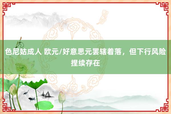 色尼姑成人 欧元/好意思元罢辖着落，但下行风险捏续存在