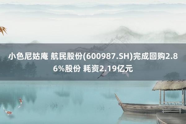 小色尼姑庵 航民股份(600987.SH)完成回购2.86%股份 耗资2.19亿元