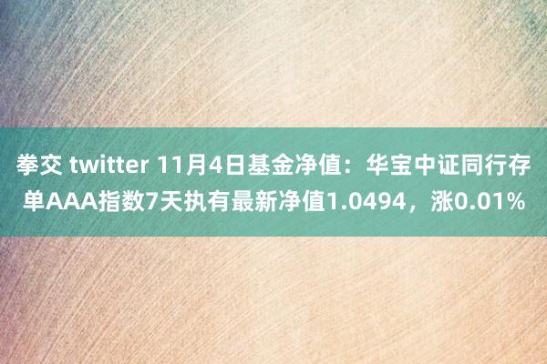 拳交 twitter 11月4日基金净值：华宝中证同行存单AAA指数7天执有最新净值1.0494，涨0.01%