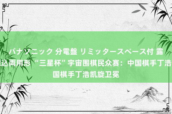 パナソニック 分電盤 リミッタースペース付 露出・半埋込両用形 “三星杯”宇宙围棋民众赛：中国棋手丁浩凯旋卫冕