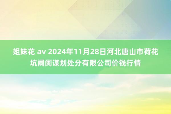 姐妹花 av 2024年11月28日河北唐山市荷花坑阛阓谋划处分有限公司价钱行情