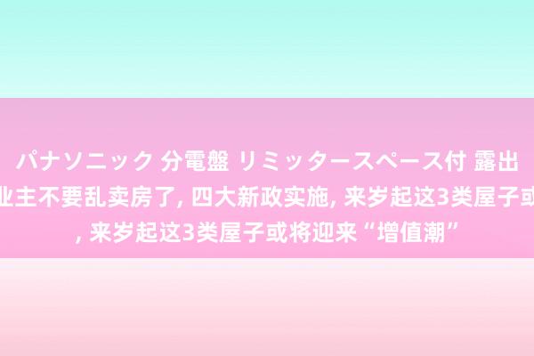 パナソニック 分電盤 リミッタースペース付 露出・半埋込両用形 业主不要乱卖房了， 四大新政实施， 来岁起这3类屋子或将迎来“增值潮”