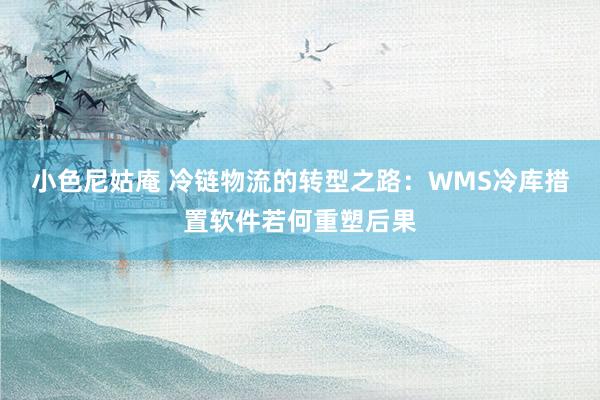 小色尼姑庵 冷链物流的转型之路：WMS冷库措置软件若何重塑后果