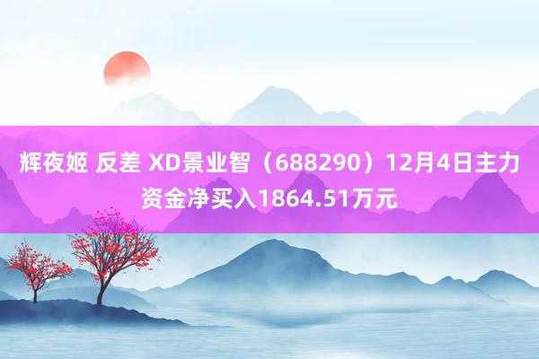 辉夜姬 反差 XD景业智（688290）12月4日主力资金净买入1864.51万元