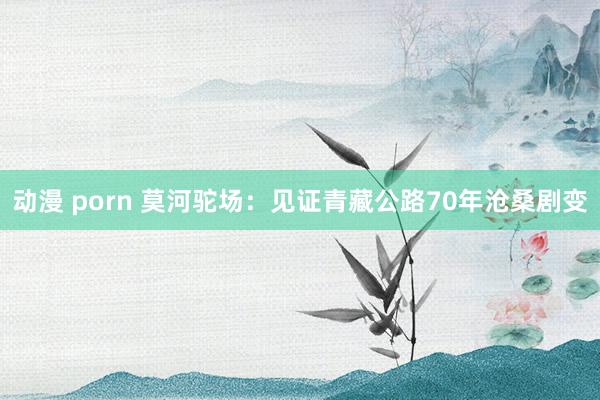 动漫 porn 莫河驼场：见证青藏公路70年沧桑剧变