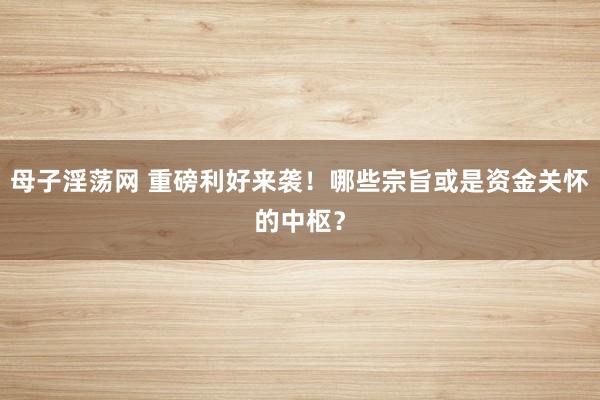 母子淫荡网 重磅利好来袭！哪些宗旨或是资金关怀的中枢？