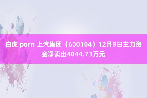 白虎 porn 上汽集团（600104）12月9日主力资金净卖出4044.73万元