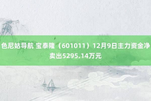 色尼姑导航 宝泰隆（601011）12月9日主力资金净卖出5295.14万元