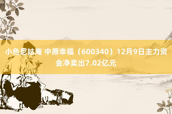 小色尼姑庵 中原幸福（600340）12月9日主力资金净卖出7.02亿元