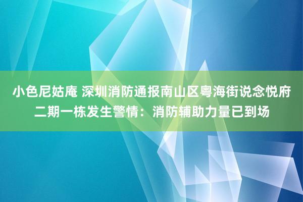 小色尼姑庵 深圳消防通报南山区粤海街说念悦府二期一栋发生警情：消防辅助力量已到场