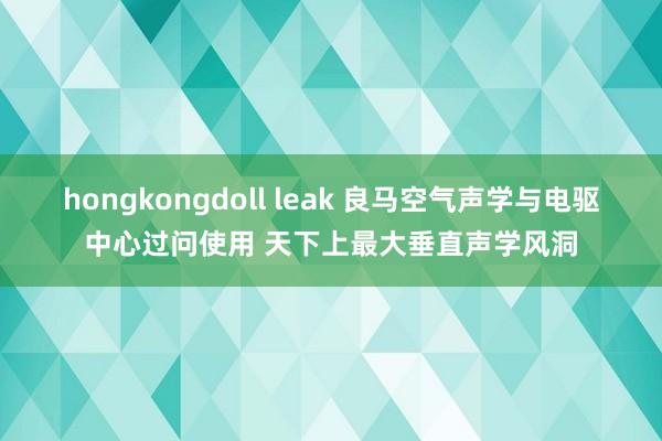 hongkongdoll leak 良马空气声学与电驱中心过问使用 天下上最大垂直声学风洞