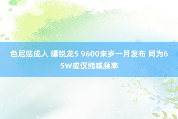 色尼姑成人 曝锐龙5 9600来岁一月发布 同为65W或仅缩减频率