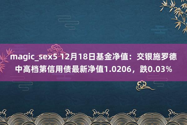 magic_sex5 12月18日基金净值：交银施罗德中高档第信用债最新净值1.0206，跌0.03%