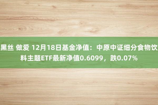 黑丝 做爱 12月18日基金净值：中原中证细分食物饮料主题ETF最新净值0.6099，跌0.07%