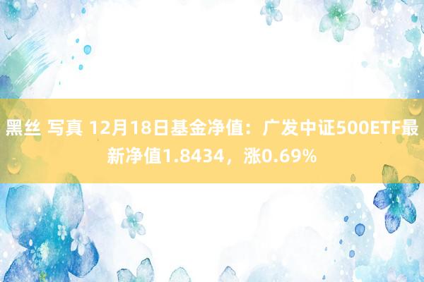 黑丝 写真 12月18日基金净值：广发中证500ETF最新净值1.8434，涨0.69%