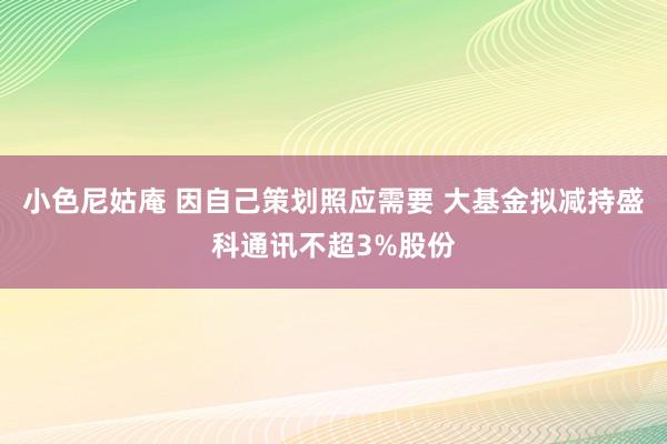 小色尼姑庵 因自己策划照应需要 大基金拟减持盛科通讯不超3%股份