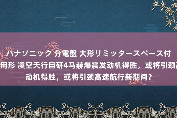 パナソニック 分電盤 大形リミッタースペース付 露出・半埋込両用形 凌空天行自研4马赫爆震发动机得胜，或将引颈高速航行新期间？