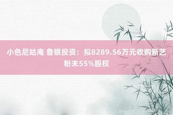 小色尼姑庵 鲁银投资：拟8289.56万元收购新艺粉末55%股权