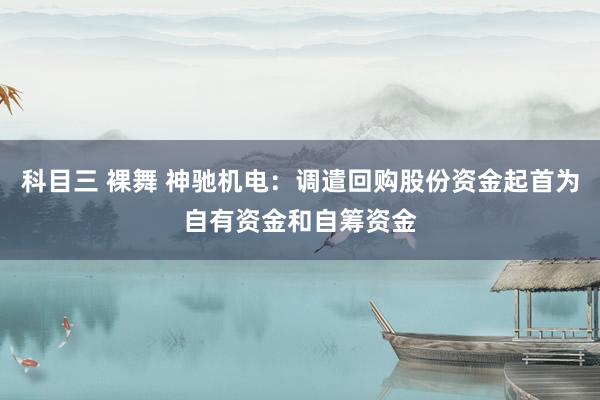 科目三 裸舞 神驰机电：调遣回购股份资金起首为自有资金和自筹资金