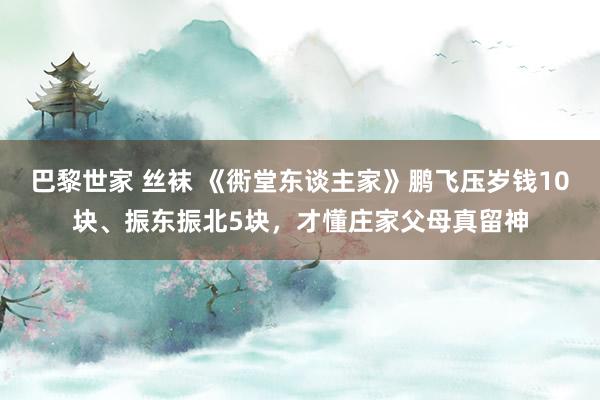 巴黎世家 丝袜 《衖堂东谈主家》鹏飞压岁钱10块、振东振北5块，才懂庄家父母真留神