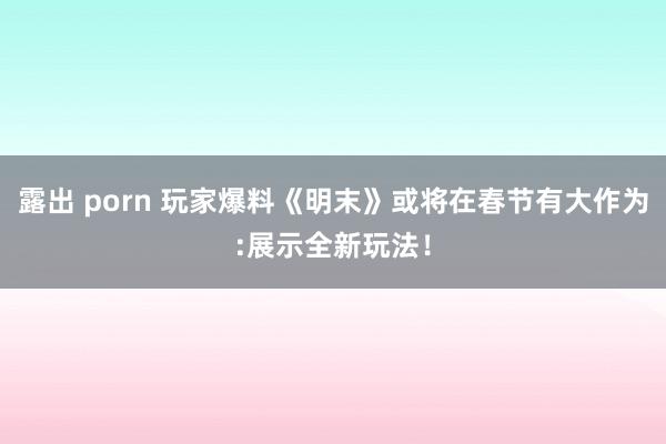 露出 porn 玩家爆料《明末》或将在春节有大作为:展示全新玩法！