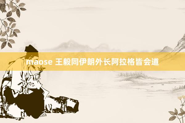 maose 王毅同伊朗外长阿拉格皆会道