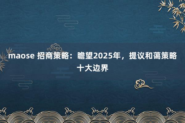 maose 招商策略：瞻望2025年，提议和蔼策略十大边界