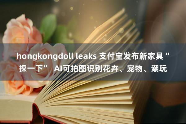 hongkongdoll leaks 支付宝发布新家具“探一下”  AI可拍图识别花卉、宠物、潮玩