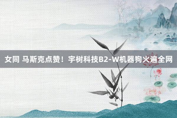 女同 马斯克点赞！宇树科技B2-W机器狗火遍全网