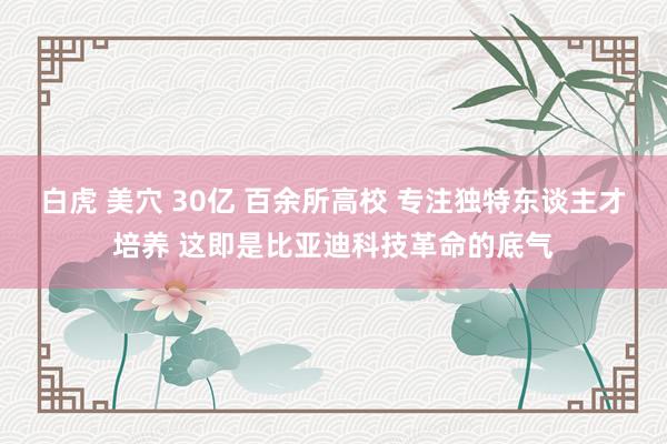 白虎 美穴 30亿 百余所高校 专注独特东谈主才培养 这即是比亚迪科技革命的底气