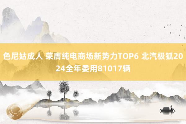 色尼姑成人 荣膺纯电商场新势力TOP6 北汽极狐2024全年委用81017辆