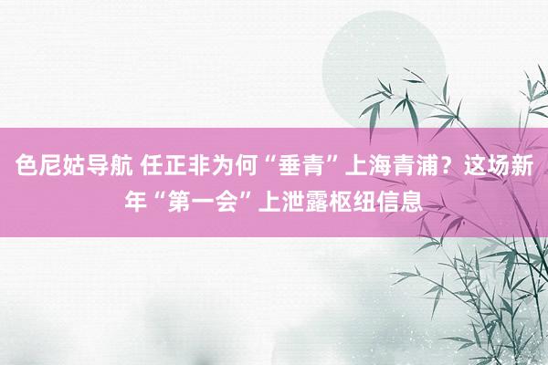 色尼姑导航 任正非为何“垂青”上海青浦？这场新年“第一会”上泄露枢纽信息