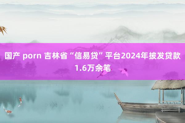 国产 porn 吉林省“信易贷”平台2024年披发贷款1.6万余笔