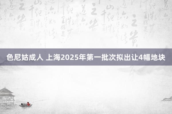 色尼姑成人 上海2025年第一批次拟出让4幅地块