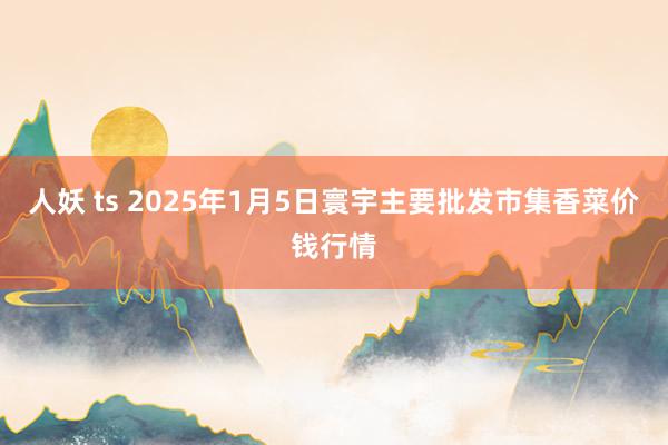 人妖 ts 2025年1月5日寰宇主要批发市集香菜价钱行情