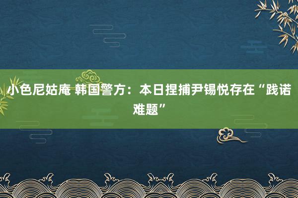 小色尼姑庵 韩国警方：本日捏捕尹锡悦存在“践诺难题”