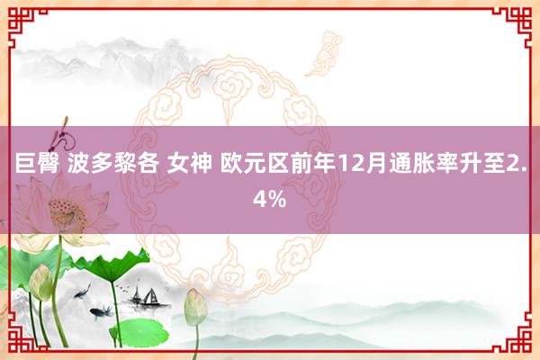 巨臀 波多黎各 女神 欧元区前年12月通胀率升至2.4%