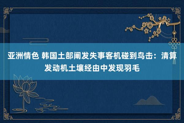 亚洲情色 韩国土部阐发失事客机碰到鸟击：清算发动机土壤经由中发现羽毛