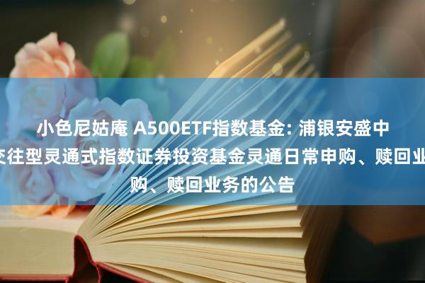 小色尼姑庵 A500ETF指数基金: 浦银安盛中证A500交往型灵通式指数证券投资基金灵通日常申购、赎回业务的公告