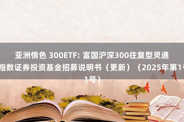 亚洲情色 300ETF: 富国沪深300往复型灵通式指数证券投资基金招募说明书（更新）（2025年第1号）